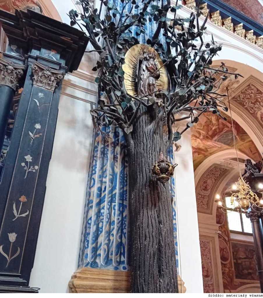 zdjęcie Święta Lipka