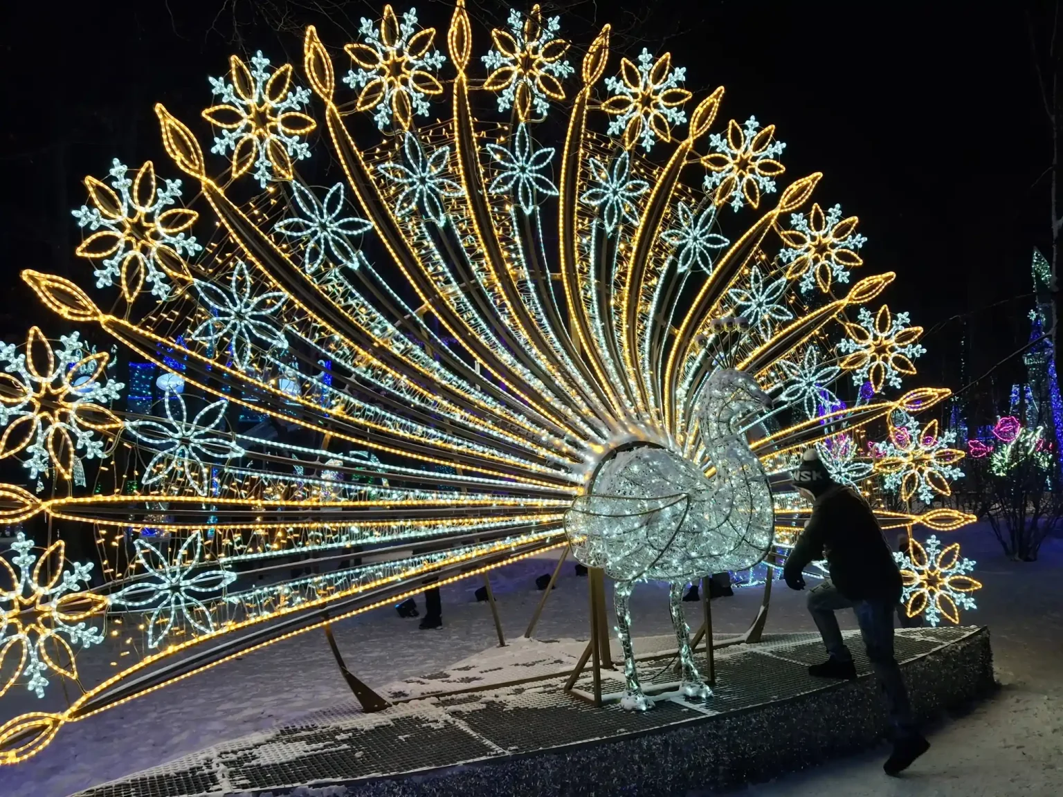 zdjęcie Zakopane